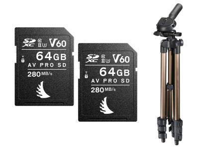AV PRO SD MK2 64GB V60 (2 pezzi) + Tripod Hama in omaggio