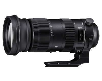 DG Sports 60-600mm F4.5-6.3 OS HSM CANON