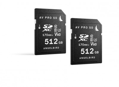 AV PRO SD 512GB V60 ( 2 PACK )