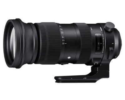 DG Sports 60-600mm F/4.5-6.3 OS HSM SIGMA AF