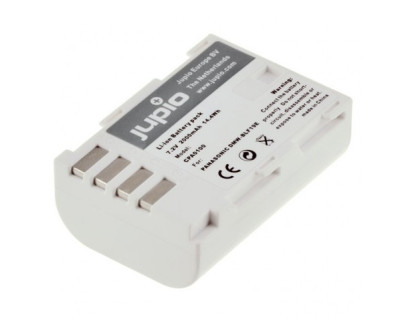 Batteria DMW-BLF19 (Panasonic GH3/4/5)