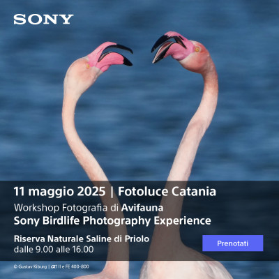 [CONCLUSO] BIRDLIFE PHOTOGRAPHY EXPERIENCE