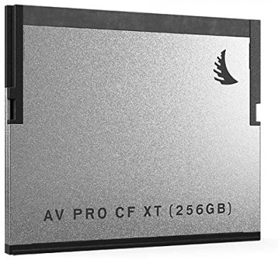 AVproXT CF 256 GB