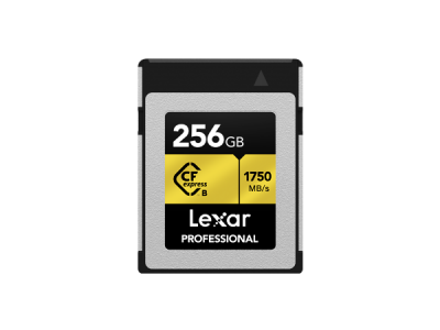 CFexpress Tipo B 256GB Gold Professional